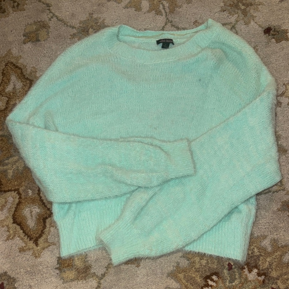 Wild Fable Light Green Women's Sweater